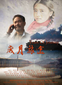 99精品久久久久久